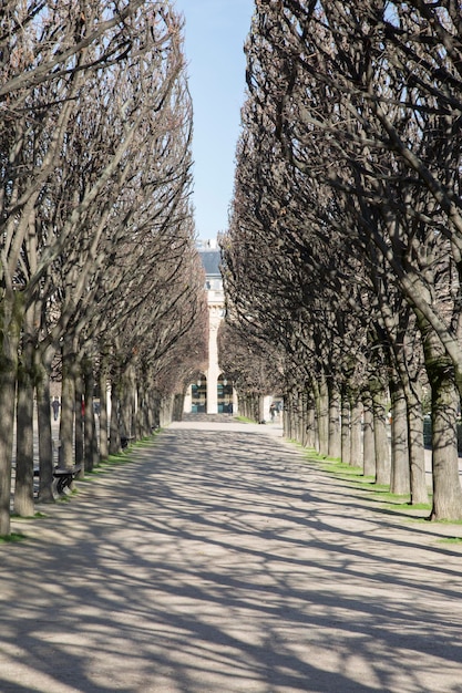 Parco del Palais Royal Parigi Francia