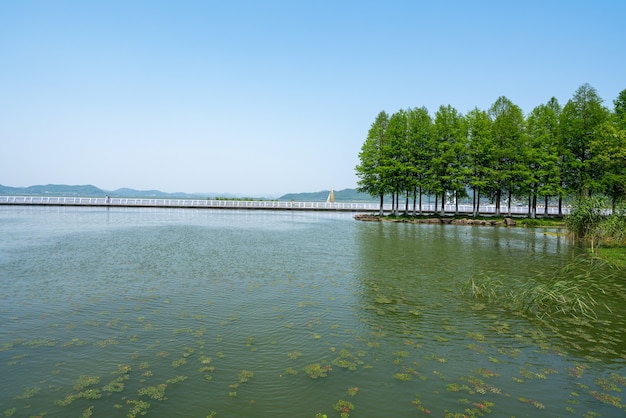 Parco delle zone umide del lago Dongqian, Ningbo, Cina