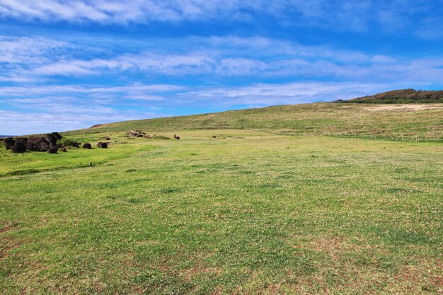 Parco di Ahu Vinapu sull'isola di pasqua, Cile