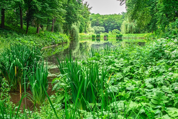 Parco di Alessandria a Bila Cerkva, Ucraina