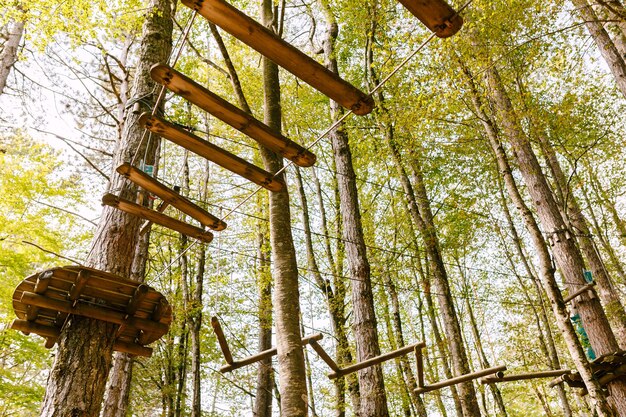 Parco di arrampicata in alto tra gli alberi
