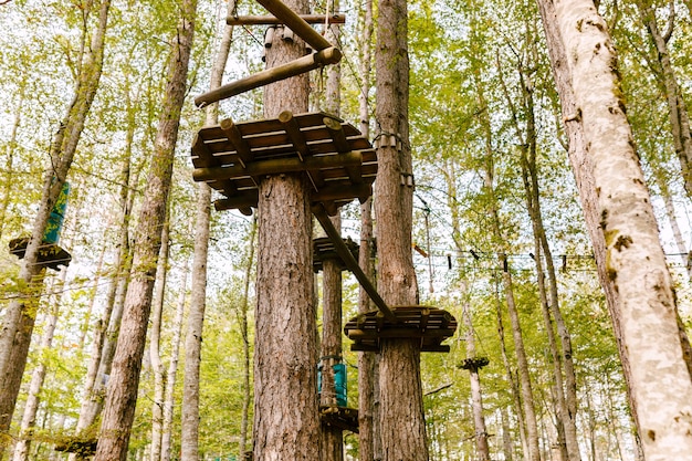 Parco di arrampicata in alto tra gli alberi