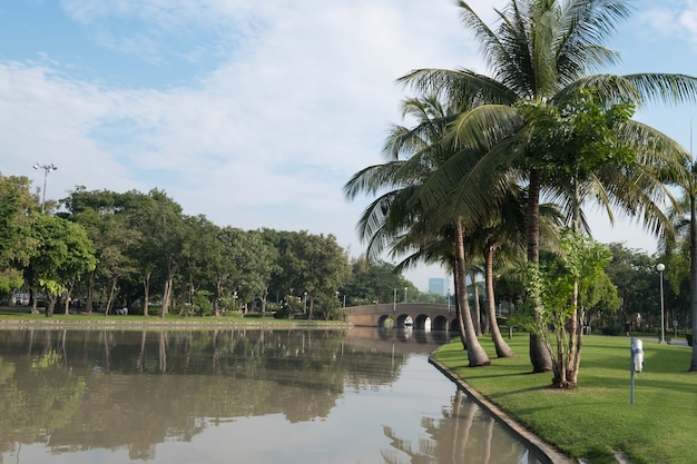 Parco di Chatuchak con cielo blu