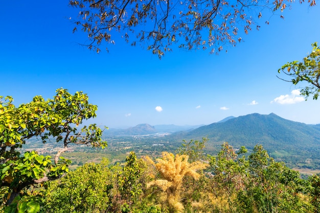 Parco di Phu Thok della catena montuosa della foresta di verde di bella vista panoramica nella provincia di Loei, Tailandia, struttura del cielo blu con le nuvole bianche