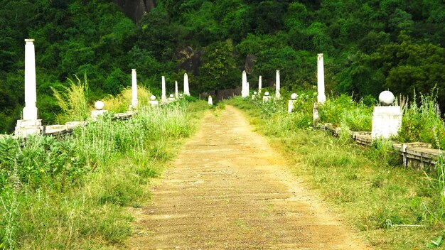 Parco distrutto durante la guerra