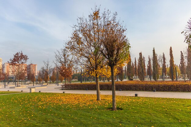 Parco durante la stagione autunnale