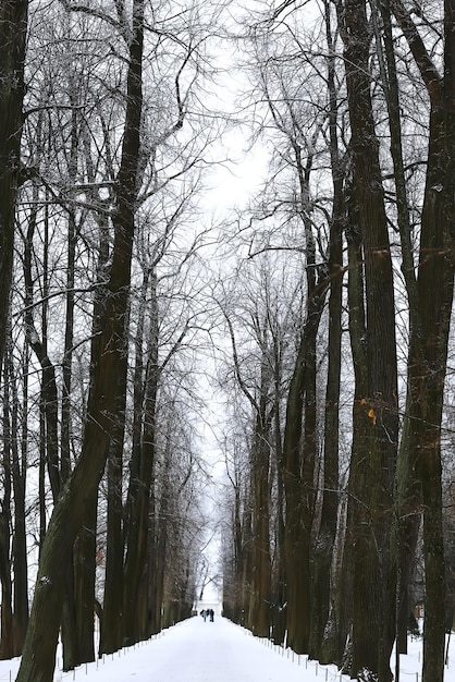 Parco e corsia a Peterhof