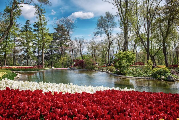 Parco Emirgan Istanbul