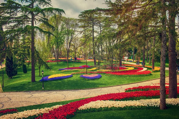 Parco Emirgan Istanbul