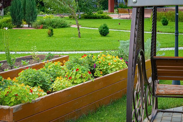 Parco estivo con prati, panchine, fiori e alberi.