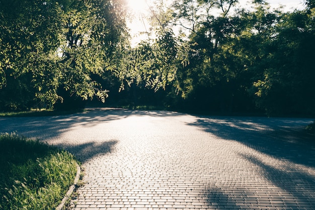 Parco estivo verde con sentieri