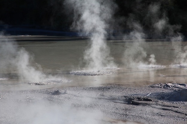 Parco geotermico Wai-o-tapu di Rotorua in Nuova Zelanda