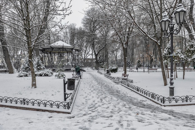 Parco giardino cittadino a Odessa Ucraina