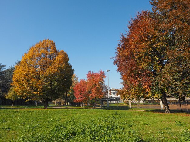 Parco Giardino Corpo Italiano di Liberazione a Torino Italia