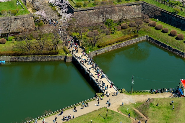 Parco Goryokaku nella stagione primaverile dei fiori di ciliegio. Vista aerea Hakodate Hokkaido in Giappone