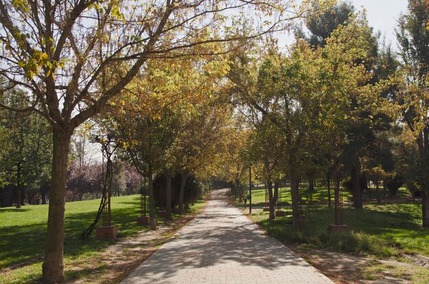 Parco in autunno bei colori