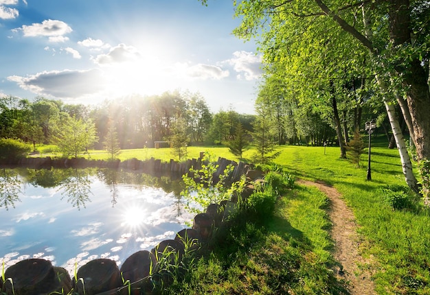 Parco in estate con laghetto e vicolo