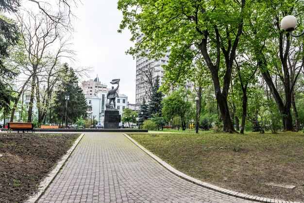 Parco in Ucraina Sentiero nel bosco verde