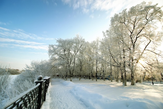 Parco invernale coperto di neve recintato