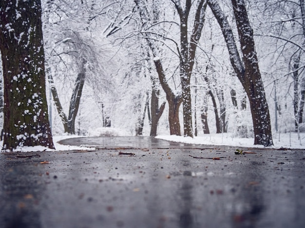 Parco invernale innevato con fanghiglia sul sentiero