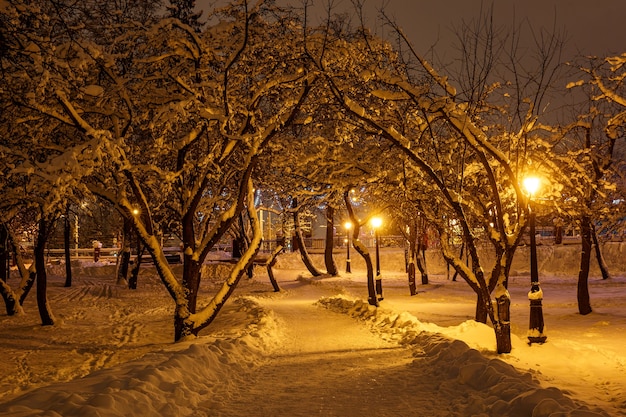 Parco invernale la sera coperto di neve con lampioni inclusi.