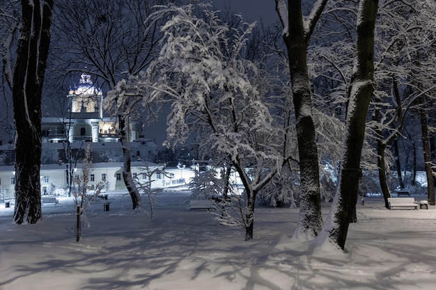 Parco invernale notturno a Leopoli Ucraina