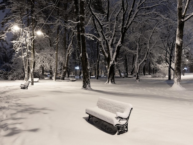 Parco invernale notturno a Leopoli Ucraina