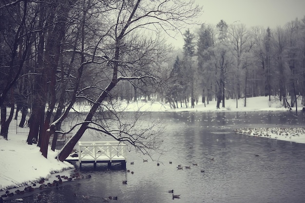 parco invernale, paesaggio urbano in condizioni climatiche invernali / paesaggio neve, città, alberi in un parco cittadino nel nord