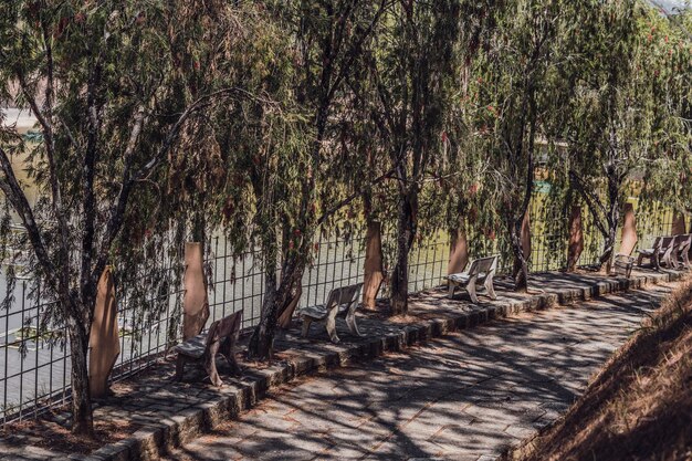 Parco lago recinzione panchine in fila lungo il sentiero di pietra marciapiede foresta calma vuoto natura aria fresca fuori foglie verdi estate alberi legno ombra sole giorno luogo di pace tempo di riposo vita piacevole