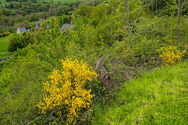 Parco Naturale dei Vulcani d'Alvernia