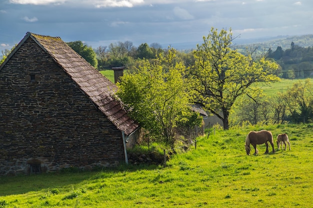 Parco Naturale dei Vulcani d'Alvernia