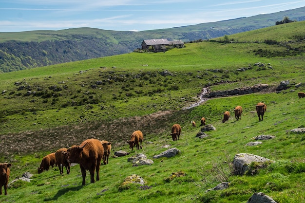 Parco Naturale dei Vulcani d'Alvernia