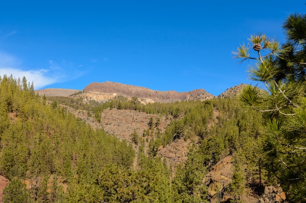 Parco Naturale delle Isole Canarie Spagna. Teide Tenerife