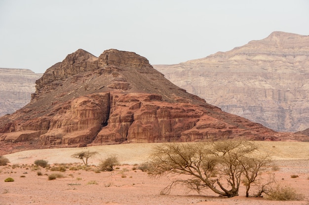 Parco naturale di Timna nel deserto del sud di Israele.