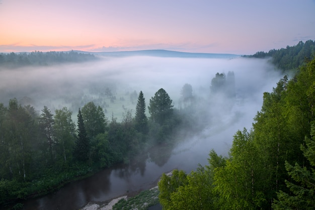 Parco naturale prima dell'alba