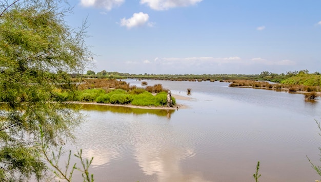 Parco naturale regionale della Camargue