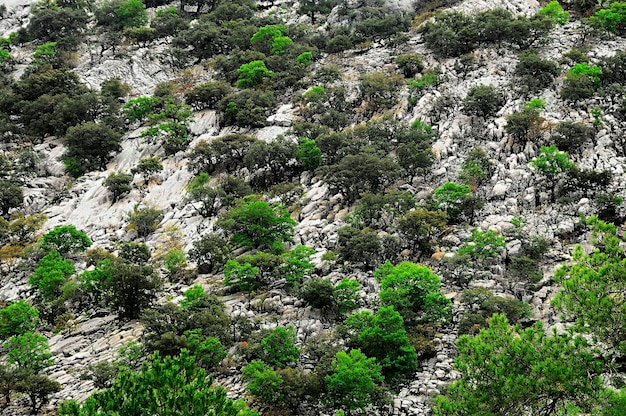 Parco Naturale Sierras de Cazorla, Segura e Las Villas - Jaen