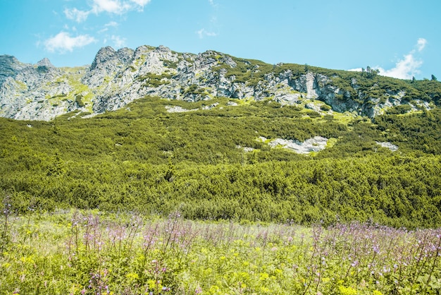 Parco Nazionale Alti Tatra, Slovacchia, Europa. Sentiero escursionistico al lago di montagna Batizovske pleso e Sliez