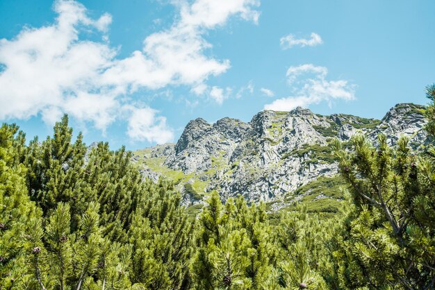 Parco Nazionale Alti Tatra, Slovacchia, Europa. Sentiero escursionistico al lago di montagna Batizovske pleso e Sliez