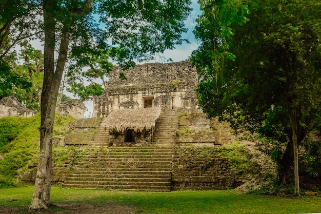 Parco nazionale archeologico di Tikal.