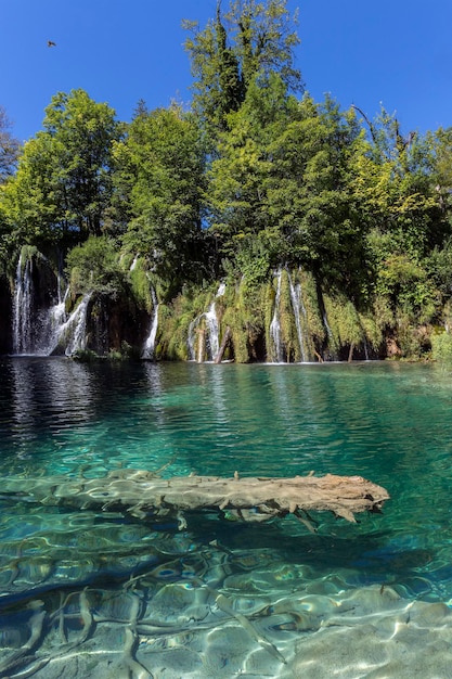 Parco nazionale dei laghi di Plitvice Croazia