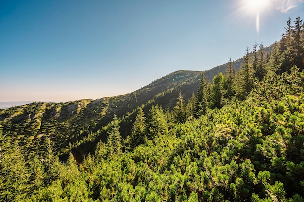 Parco Nazionale dei Tatra in Polonia Panorama dei monti Tatra Polonia fiori colorati e cottage nella valle di Gasienicowa Hala Gasienicowa Escursioni nella natura vicino a Kasprowy Wierch