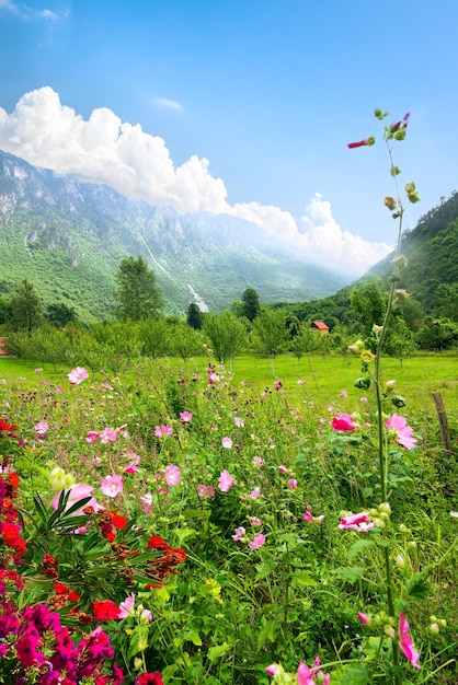 Parco Nazionale del Durmitor