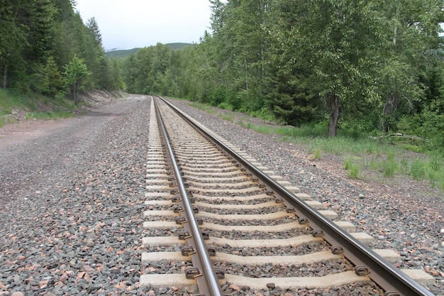 Parco nazionale del ghiacciaio Montana