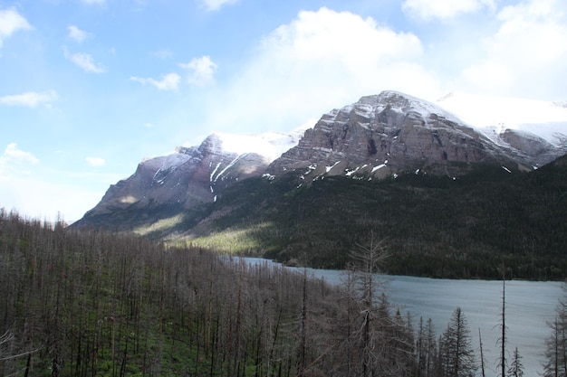 Parco nazionale del ghiacciaio Montana