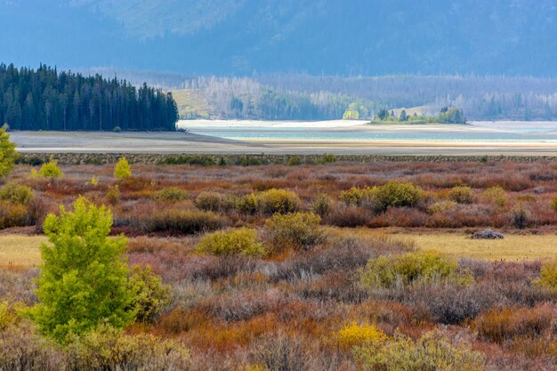 Parco Nazionale del Grand Teton