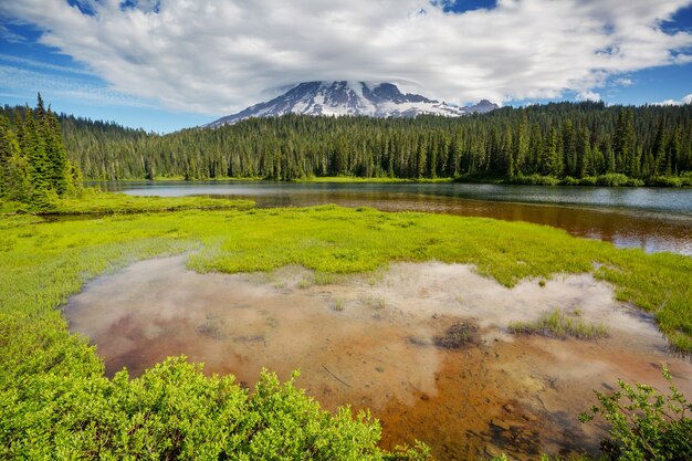 Parco nazionale del Monte Rainier, Washington