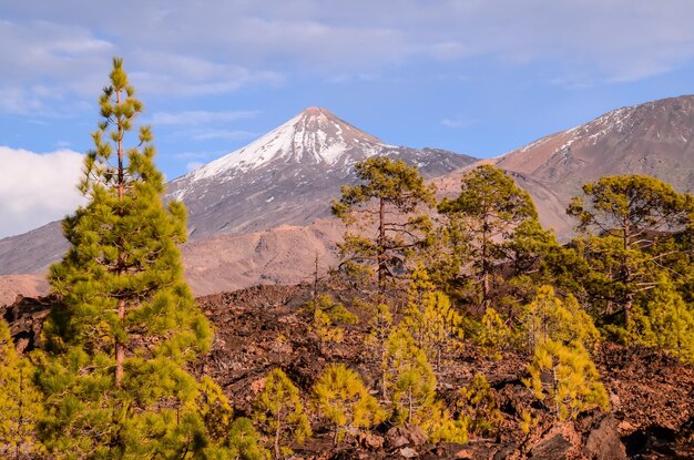 Parco Nazionale del Teide