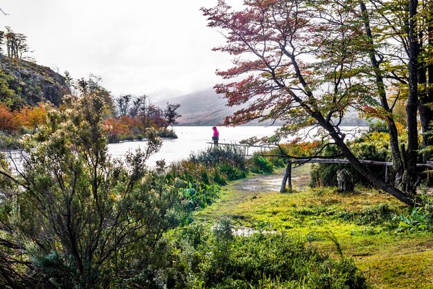 Parco nazionale della Tierra del Fuego, Patagonia, Argentina