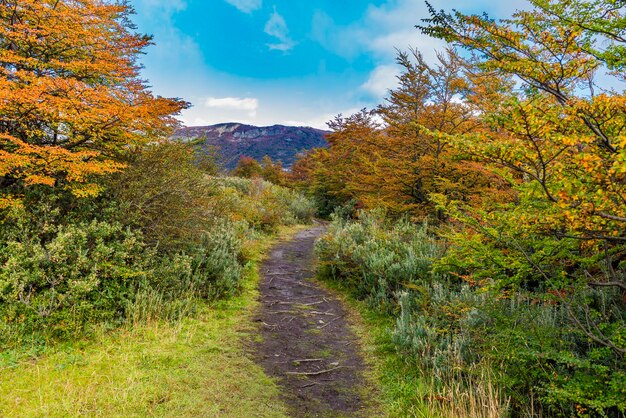 Parco nazionale della Tierra del Fuego, Patagonia, Argentina